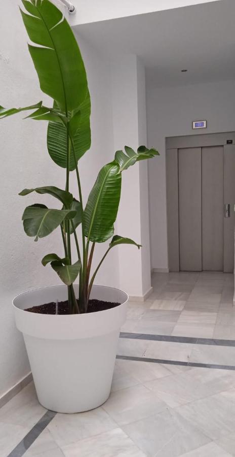 El 2 De Flamenco Atico 3ºb Apartman Cádiz Kültér fotó